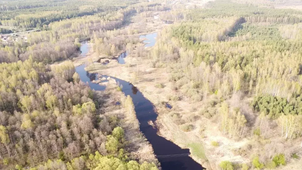 Участок в Владимирская область, Судогодский район, Лавровское ... - Фото 0