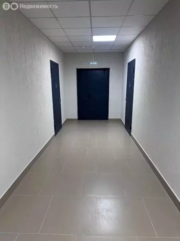 1-комнатная квартира: село Майма, Зональная улица, 54 (25.6 м) - Фото 1