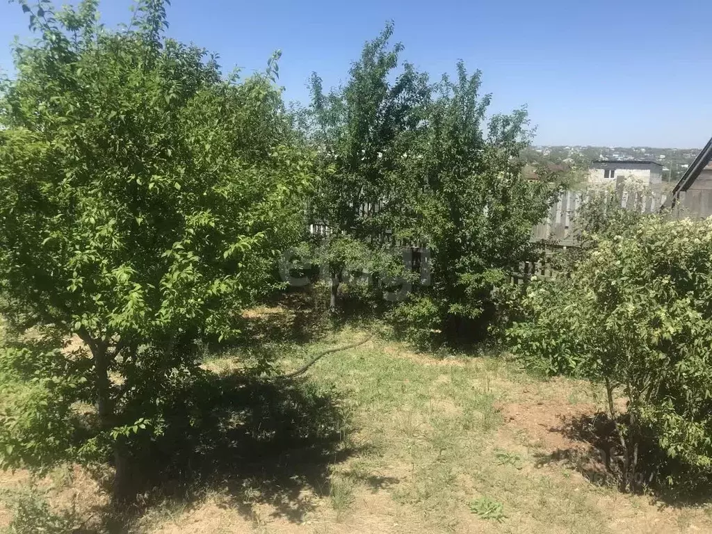 Участок в Волгоградская область, Городище рп, СНТ усадьба ул. 2-я (6.0 ... - Фото 0