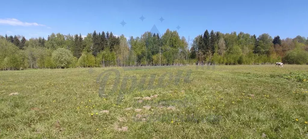 Участок в Нижегородская область, Чкаловск городской округ, с. ... - Фото 1