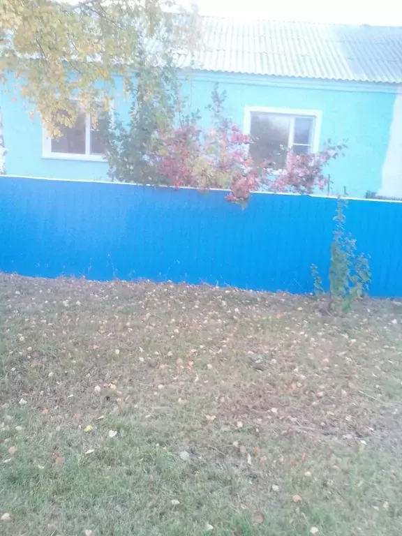 Дом в Алтайский край, Немецкий Национальный район, с. Орлово Школьная ... - Фото 2