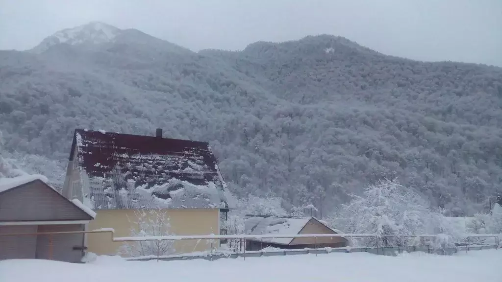 Участок в Краснодарский край, Сочи городской округ, Красная Поляна пгт ... - Фото 1