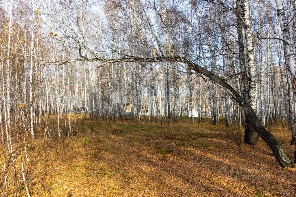 Участок в Новосибирская область, Новосибирский район, Криводановский ... - Фото 0