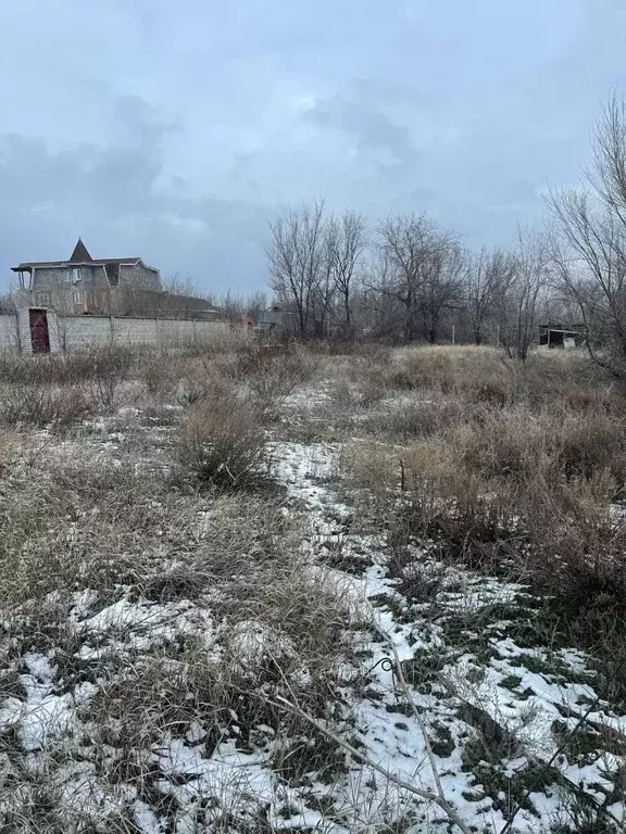 Участок в Волгоградская область, Светлоярский район, Кировское с/пос, ... - Фото 0