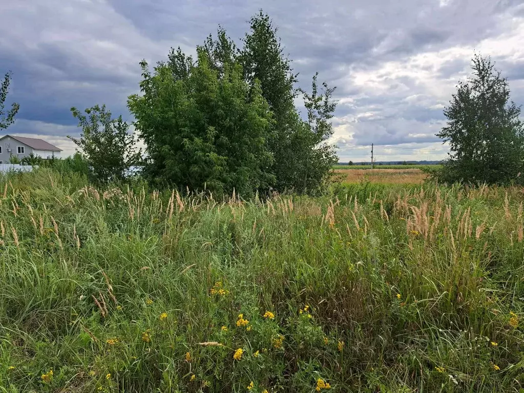 Участок в Московская область, Раменский муниципальный округ, с. Новое  ... - Фото 2