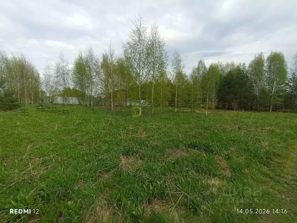 Участок в Кировская область, Киров городской округ, д. Эсауловы  (11.9 ... - Фото 2