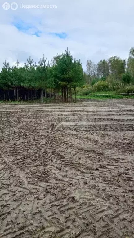 Участок в Тюменский муниципальный округ, деревня Головина (10 м) - Фото 0