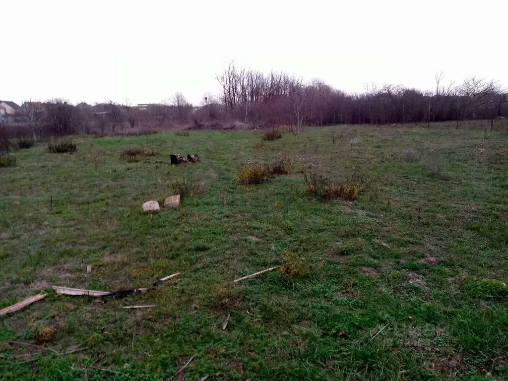 Участок в Ростовская область, Мясниковский район, Чалтырское с/пос, ... - Фото 1