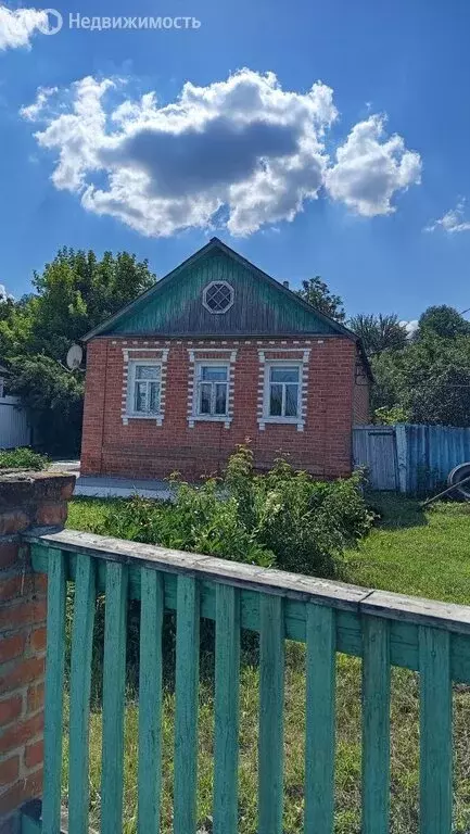 Дом в село Беломестное, улица Фёдора Андросова (48 м) - Фото 2