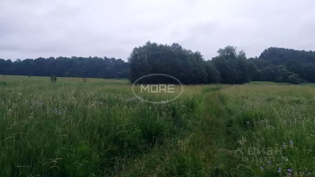 Участок в Калининградская область, Краснознаменский муниципальный ... - Фото 0