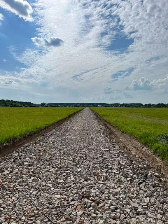 Участок в Московская область, Раменский городской округ, Давыдово дп  ... - Фото 1