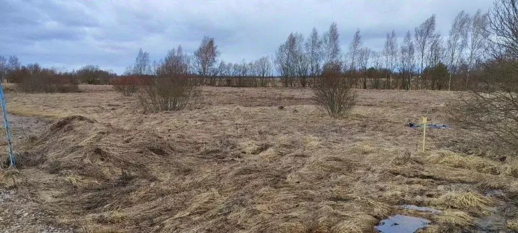 Участок в Тверская область, Калининский муниципальный округ, д. Курово ... - Фото 0