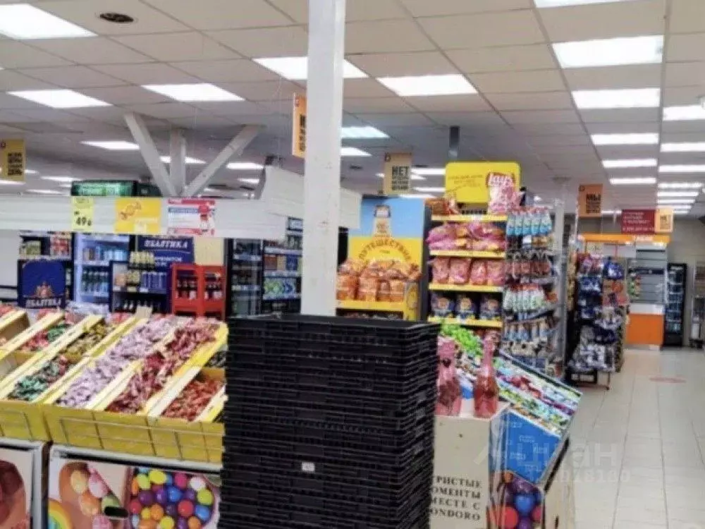 Торговая площадь в Московская область, Чехов Губернский мкр, 2 (752 м) - Фото 2