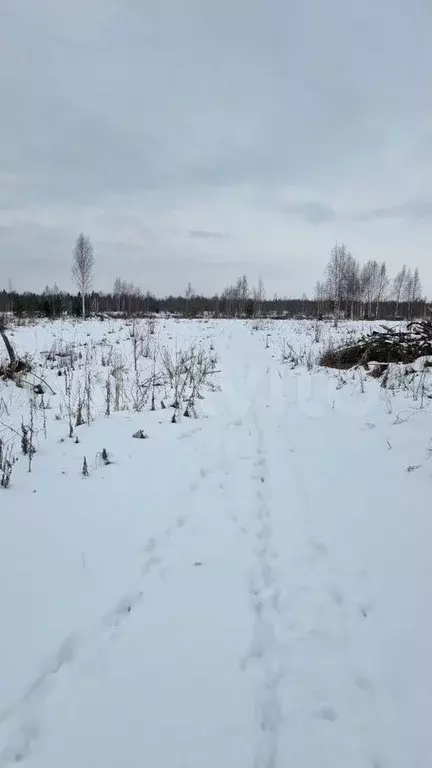 Участок 100 сот. (СНТ, ДНП) - Фото 1