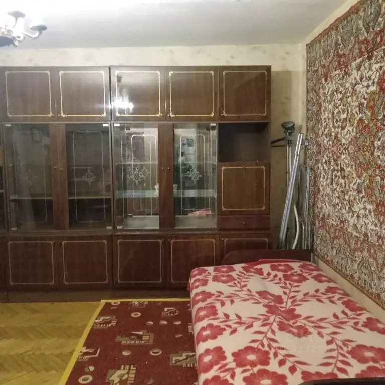 Комната Санкт-Петербург просп. Культуры, 22К2 (20.0 м) - Фото 2