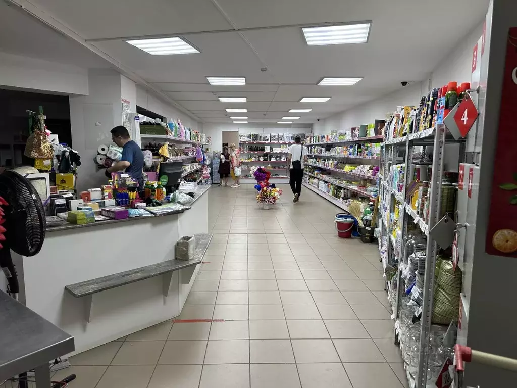 Торговая площадь в Тульская область, Донской Северо-Задонск мкр, ... - Фото 2