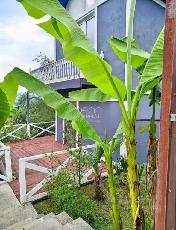 Дом в Краснодарский край, Сочи городской округ, с. Верхнениколаевское  ... - Фото 1