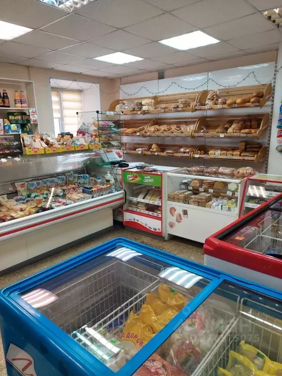 Помещение свободного назначения в Самарская область, Жигулевск ... - Фото 0