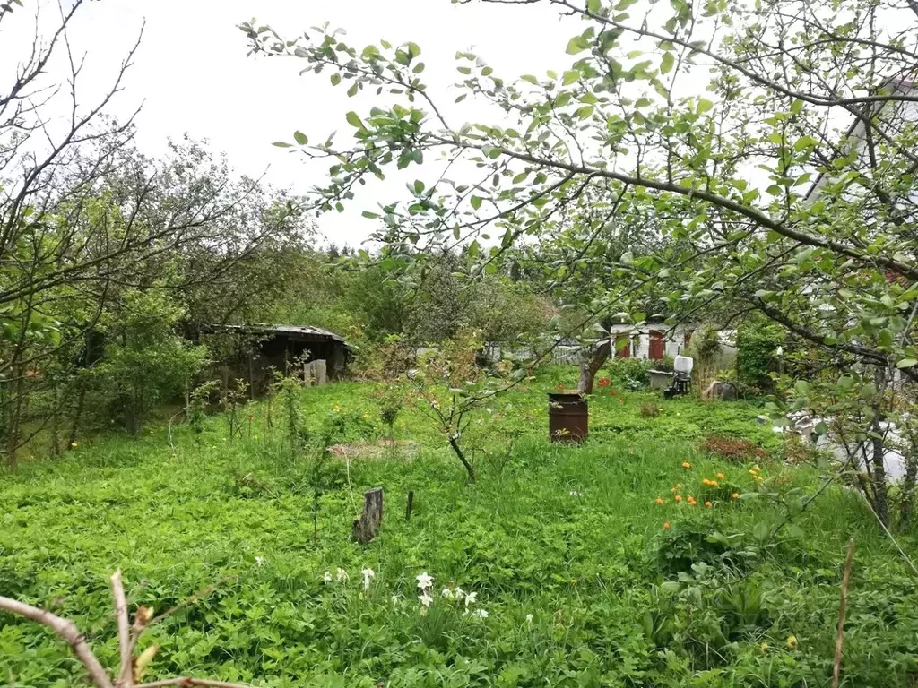 Участок в Московская область, Богородский городской округ, Электроугли ... - Фото 0