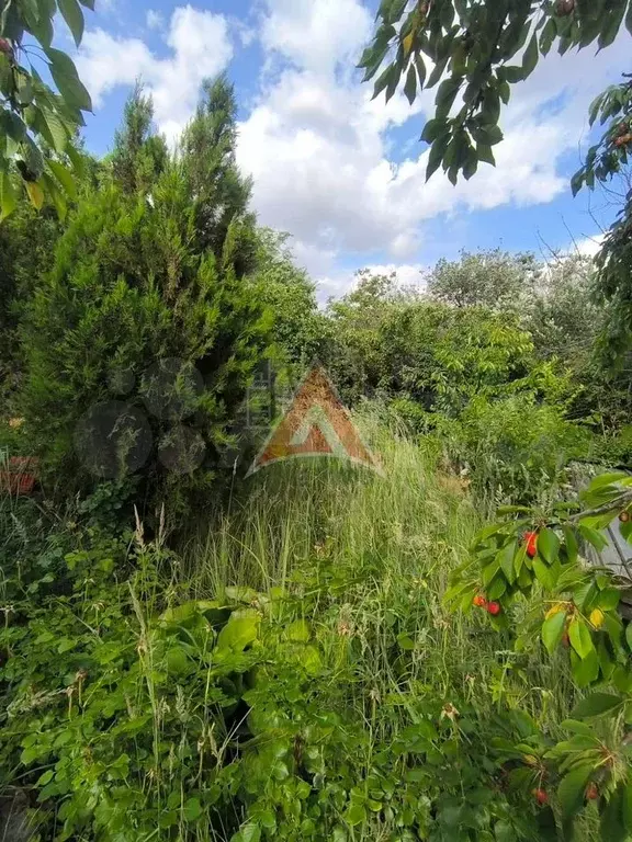 Дом 42 м на участке 8,4 сот. - Фото 0