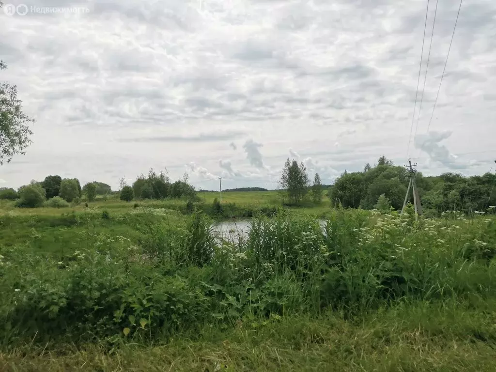 Дом в Владимирская область, Юрьев-Польский муниципальный округ, ... - Фото 1