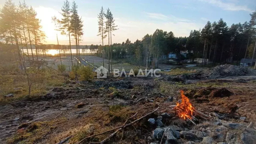 Участок в Карелия, Прионежский район, Шуйское с/пос, д. Косалма, ... - Фото 1