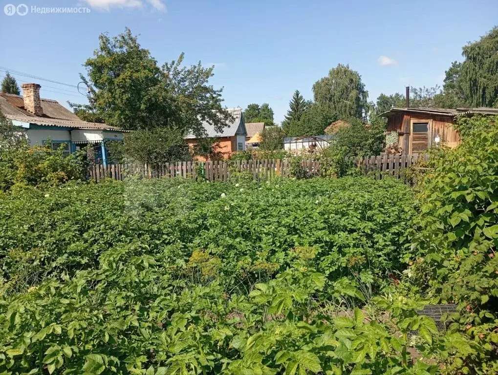Дом в Тюмень, СНТ Бирюсинка, Вишнёвая улица (25 м) - Фото 1