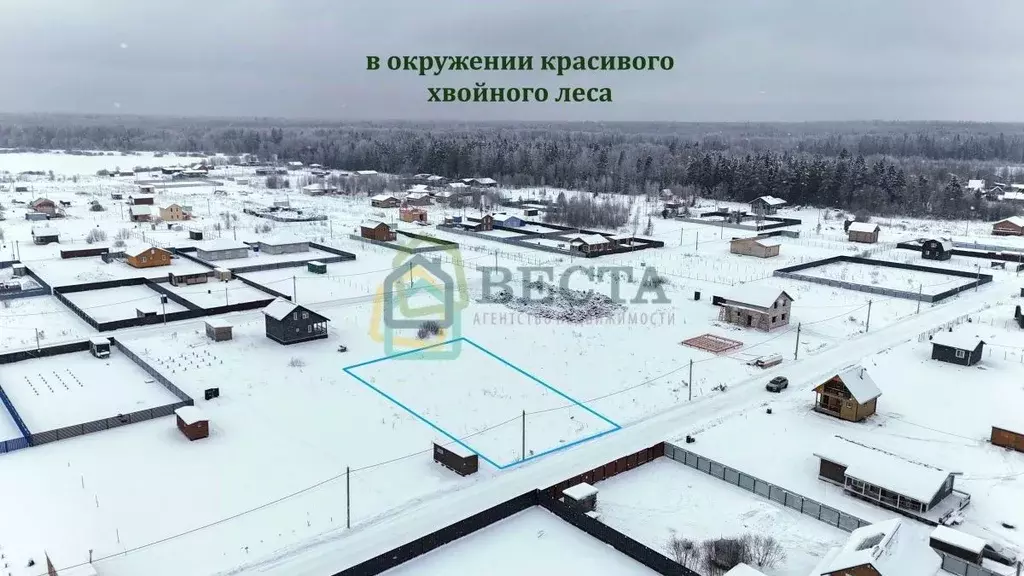 Участок в Ленинградская область, Тосненское городское поселение, д. ... - Фото 2