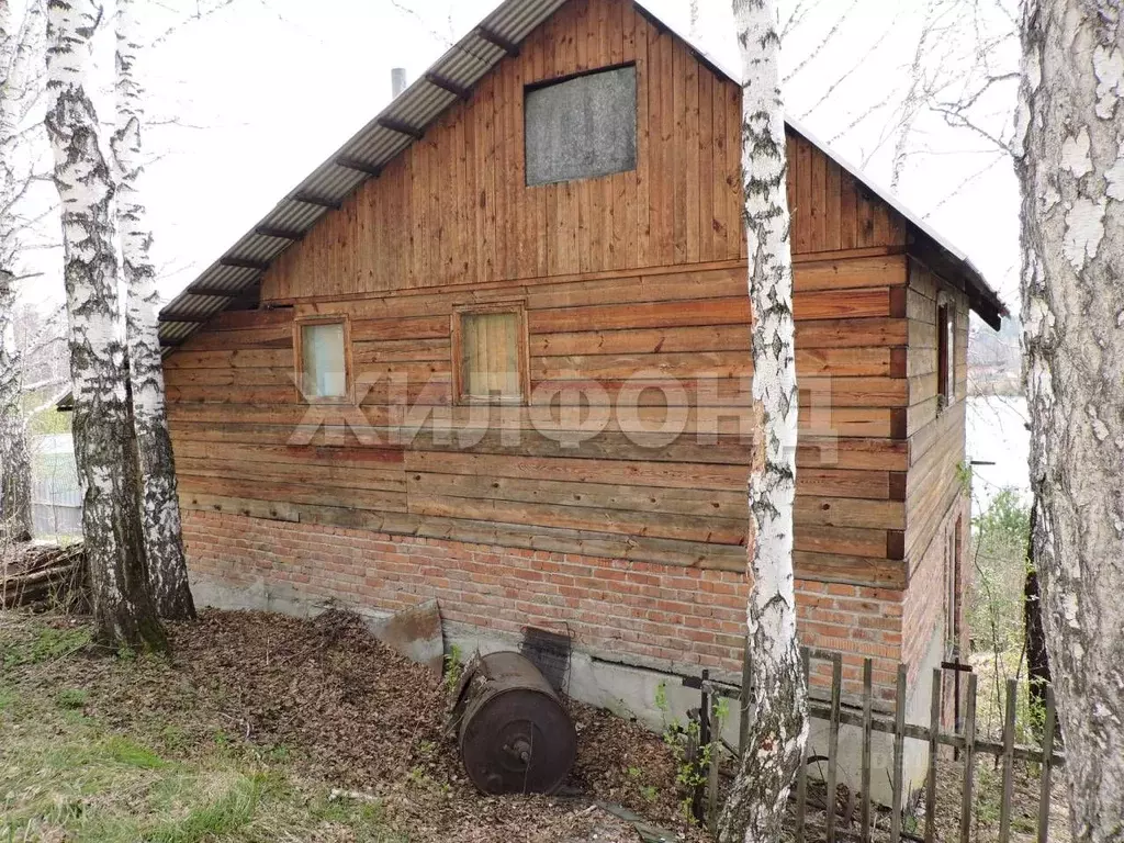 Дом в Новосибирская область, Мошковский район, Рябинка-Этро-1 садовое ... - Фото 1