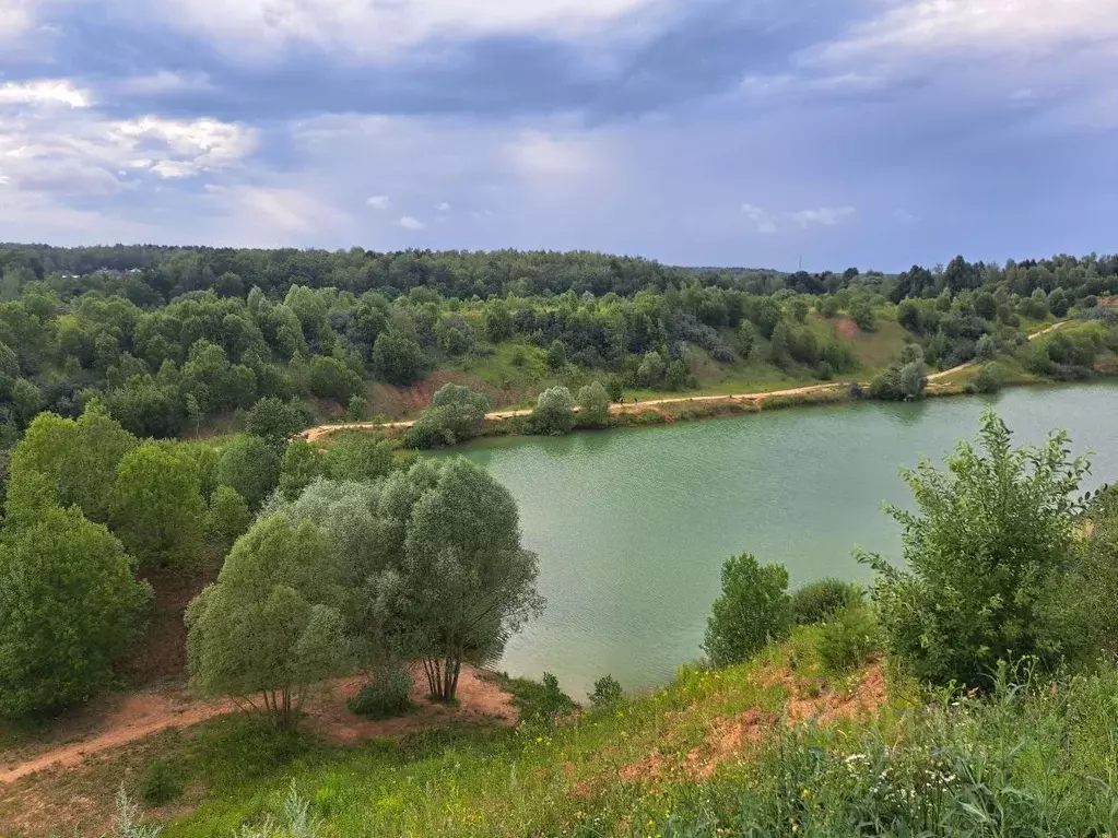 Участок в Московская область, Серпухов городской округ, д. Новые ... - Фото 1