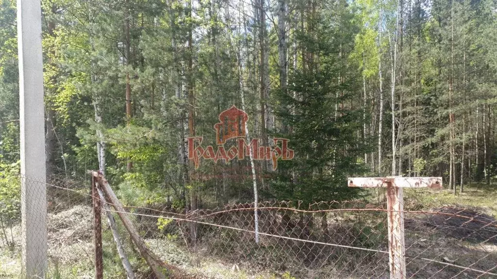 Участок, 12 сот., сельхоз (снт или днп) - Фото 1