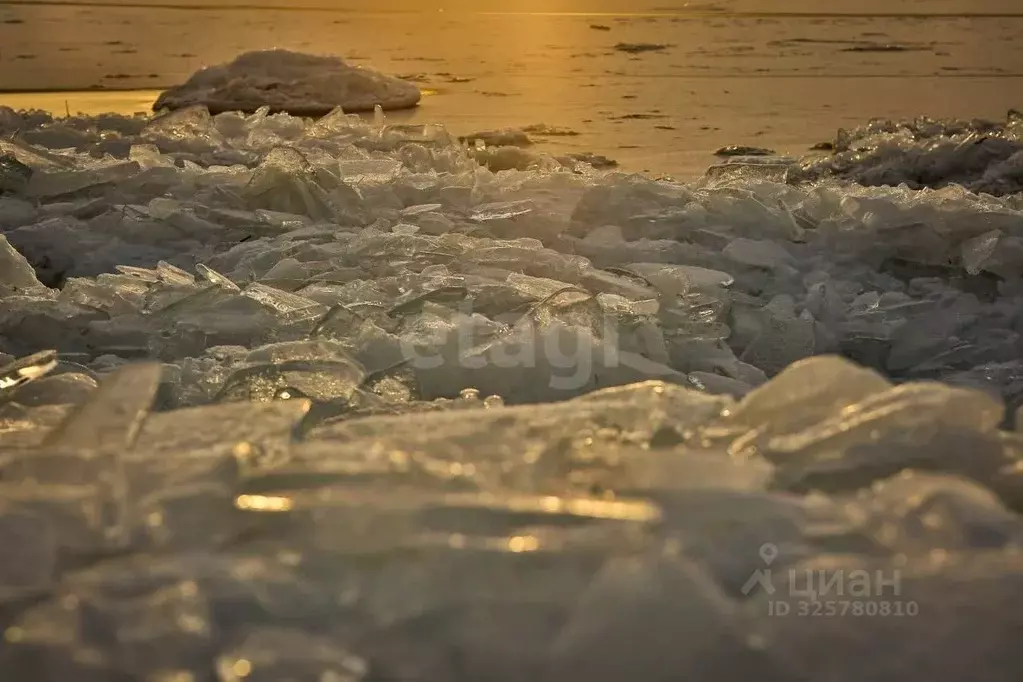 Участок в Новосибирская область, Новосибирский район, Кубовинский ... - Фото 2