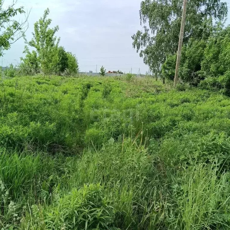 Участок в деревня Стаево, Луговая улица (9 м) - Фото 0