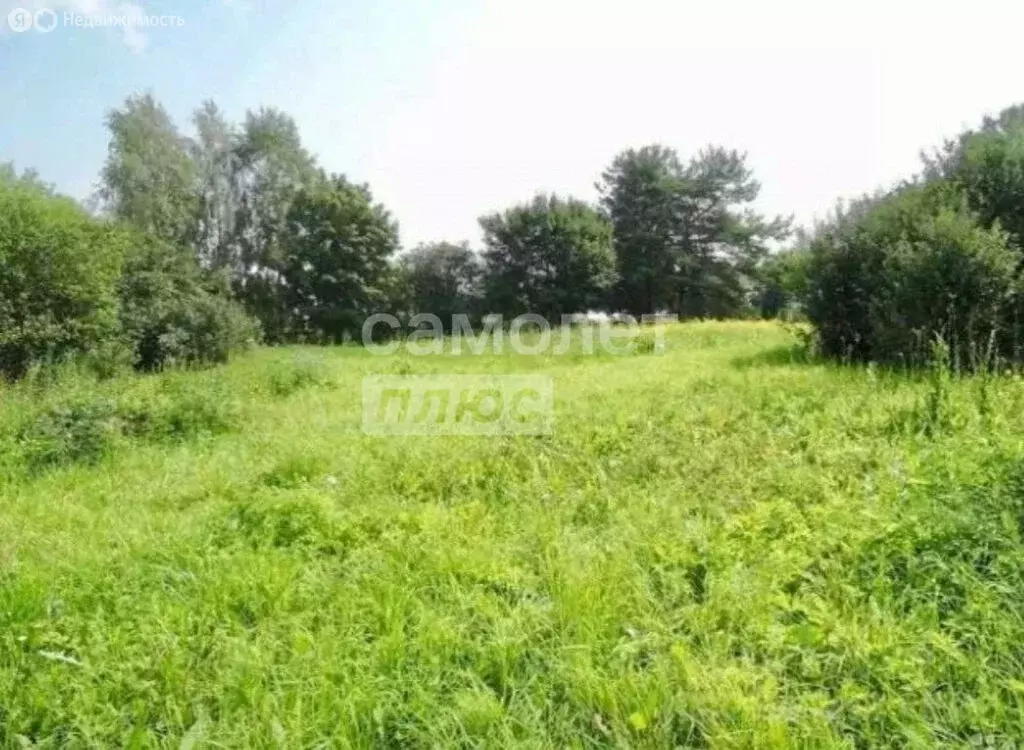 Участок в село Тютчево, 9 (31 м) - Фото 2