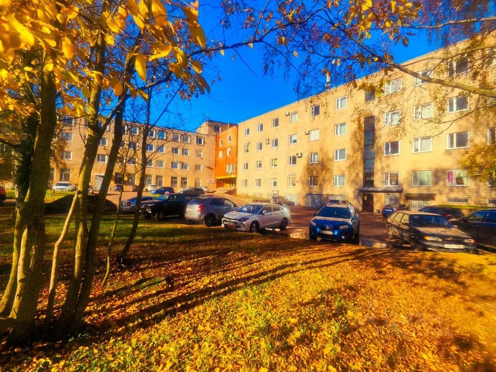 Помещение свободного назначения в Ленинградская область, Выборг ул. ... - Фото 2