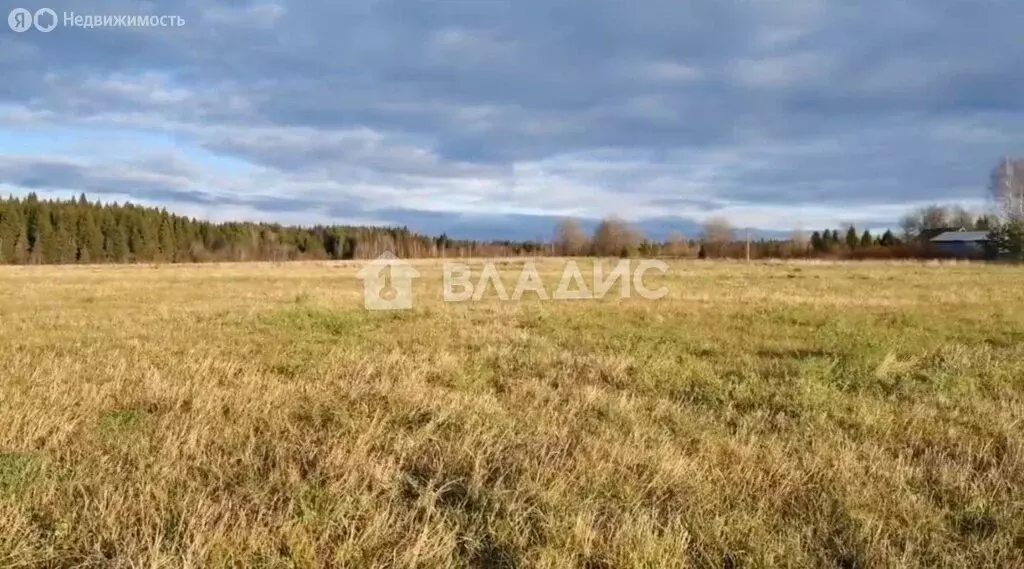 Участок в Вологодский муниципальный округ, деревня Прохорово (500 м) - Фото 0