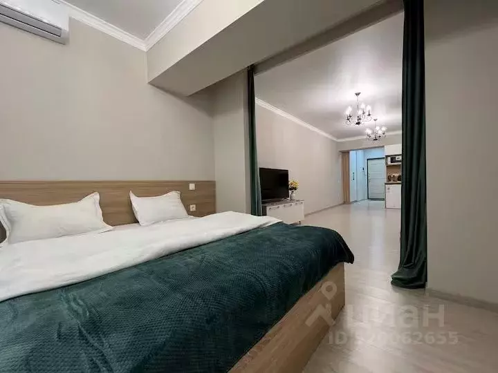 Студия Краснодарский край, Сочи ул. Просвещения, 32 (29.0 м) - Фото 1