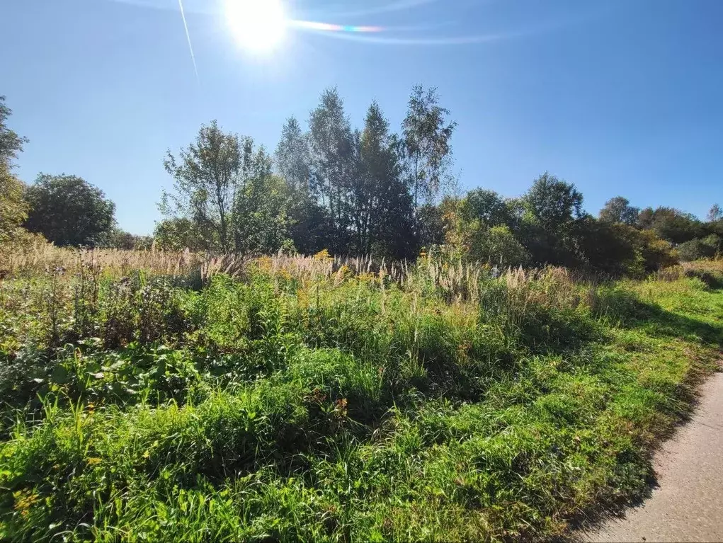 Участок в Московская область, Волоколамский муниципальный округ, д. ... - Фото 2