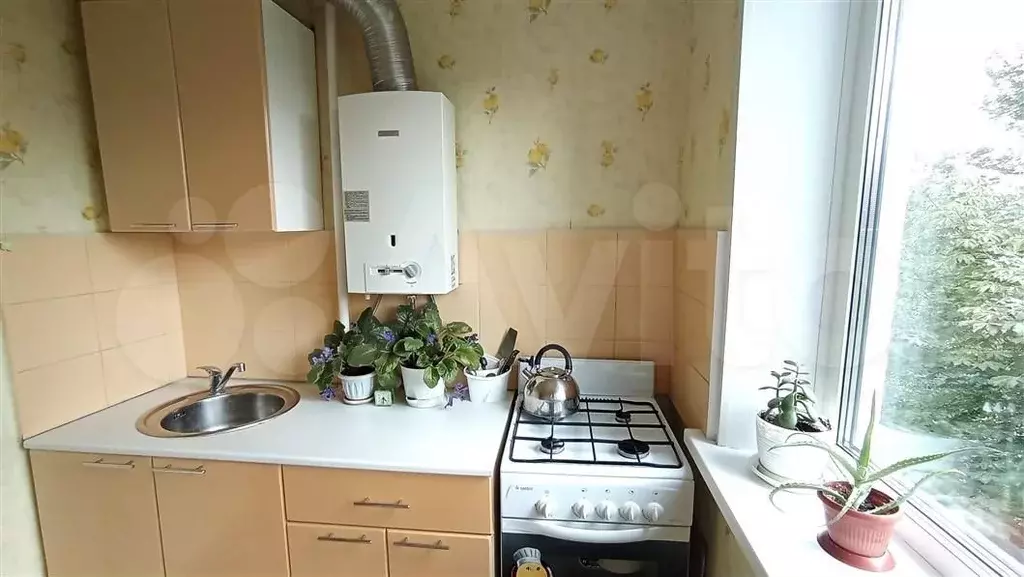 1-к. квартира, 30 м, 4/5 эт. - Фото 1