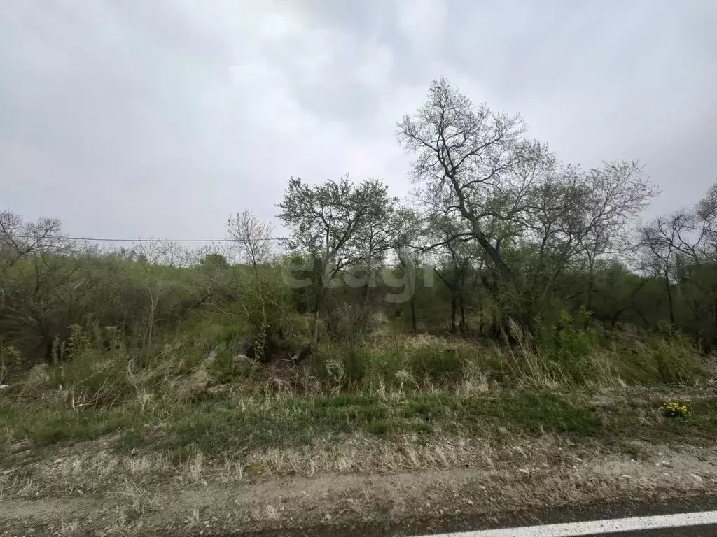 Участок в Амурская область, Благовещенск пос. Зазейский,  (15.0 сот.) - Фото 1