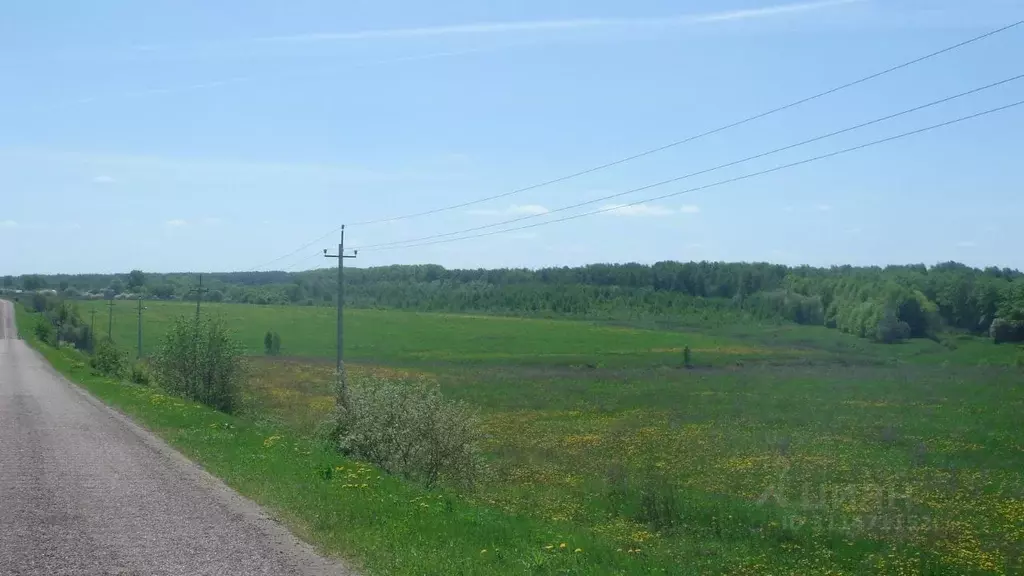 Участок в Московская область, Кашира городской округ, д. Никулино  ... - Фото 1