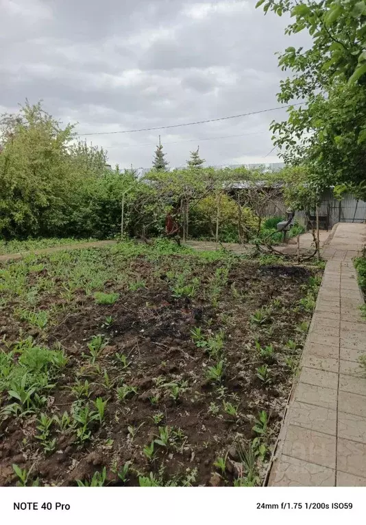 Участок в Оренбургская область, Оренбургский район, Нежинский ... - Фото 1