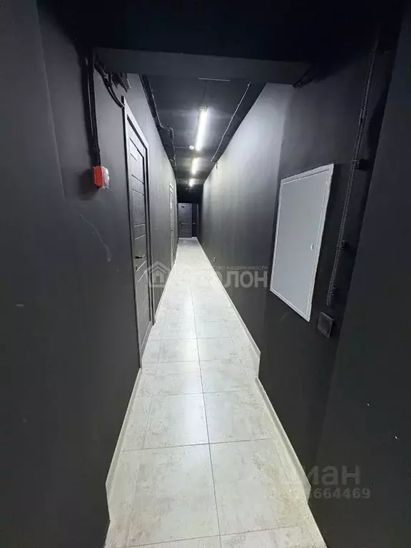 Офис в Волгоградская область, Волгоград бул. Энгельса, 18 (113 м) - Фото 2