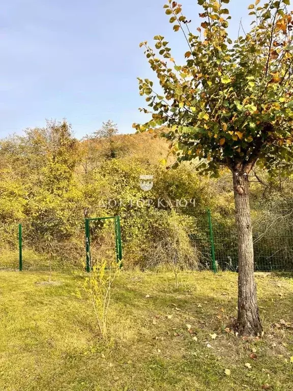 Участок в Краснодарский край, Геленджик городской округ, с. ... - Фото 2