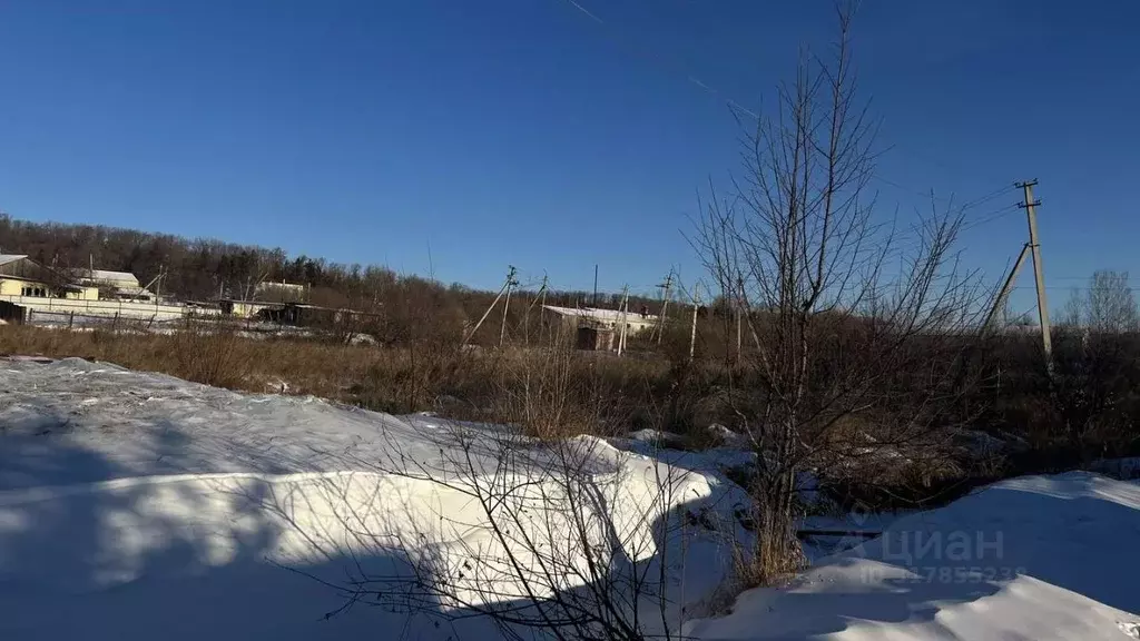 Участок в Амурская область, Благовещенский район, Звезда СТ  (9.0 ... - Фото 0