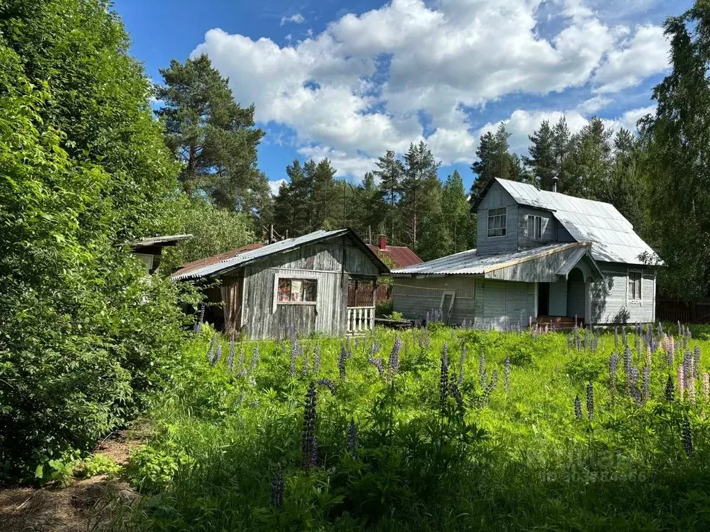 Дом в Карелия, Пряжинский район, Чалнинское с/пос, Антушевское СНТ  ... - Фото 1