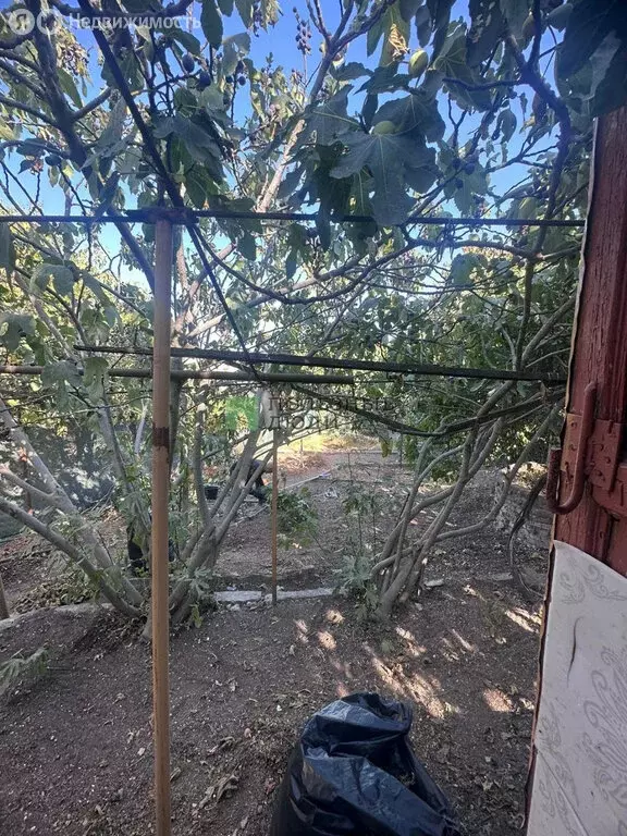 Дом в Севастополь (10 м) - Фото 1