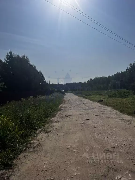 Участок в Нижегородская область, Богородский муниципальный округ, д. ... - Фото 1