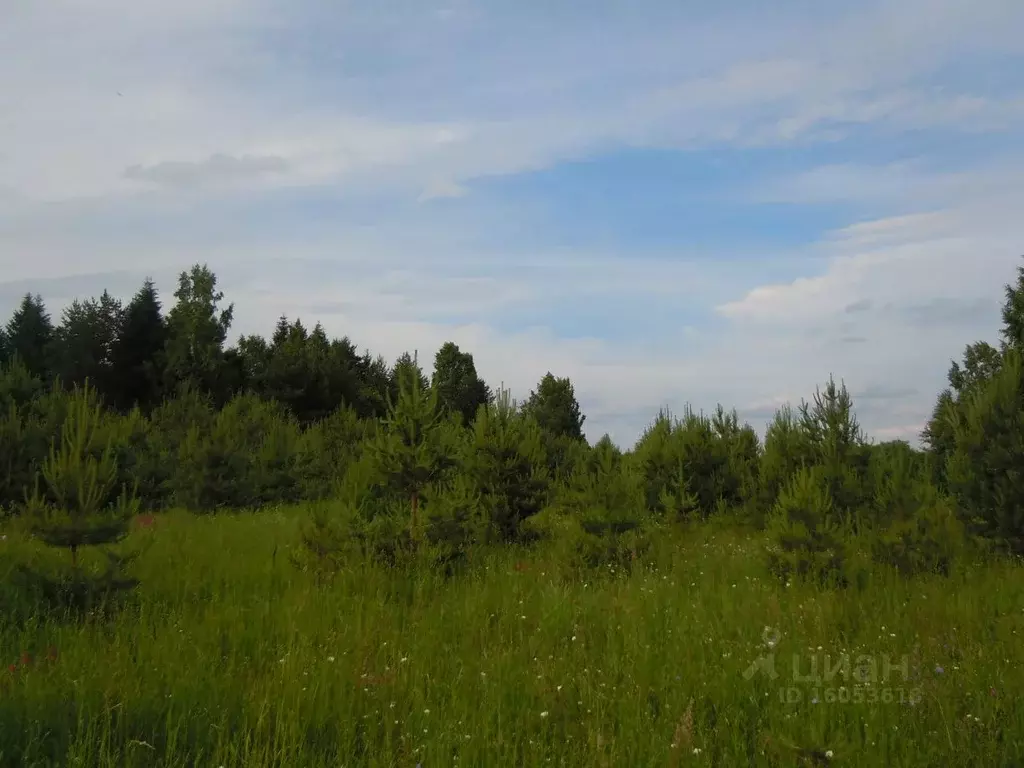 Участок в Тверская область, Осташковский городской округ, д. Конец  ... - Фото 1