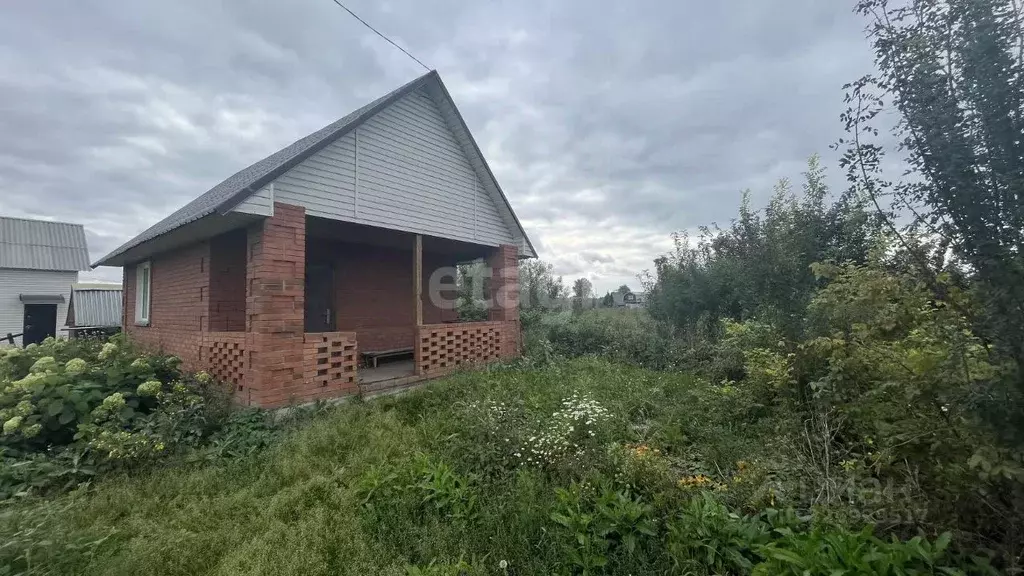 Дом в Новосибирская область, Искитим Зеленый Бор садовое товарищество, ... - Фото 1